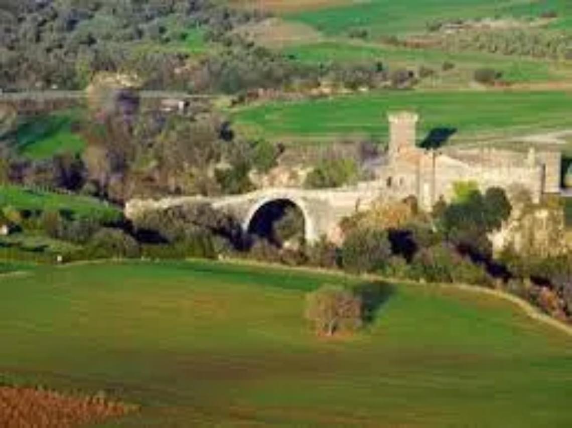 Cia Lazio Nord convoca l&rsquo;esecutivo