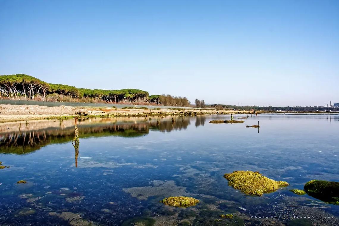 Frasca, via libera del consiglio comunale