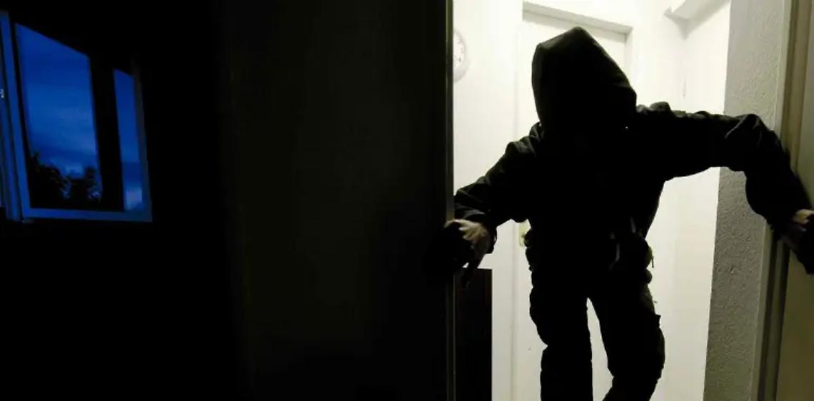 Tarquinia, ladri in azione nelle campagne