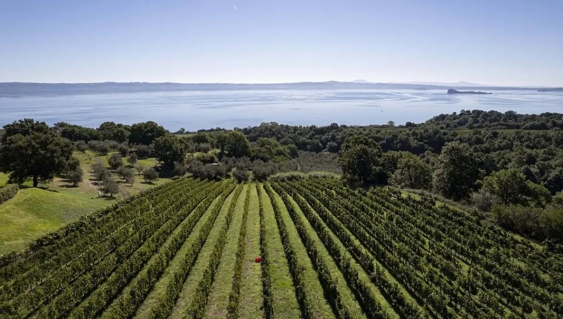 Pi&ugrave; attenzione alla produzione agricola