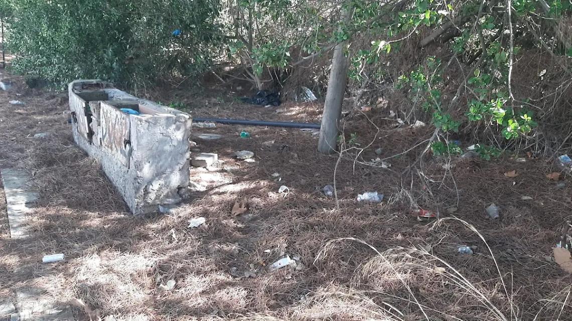 &laquo;Via dei Delfini nel degrado&raquo; &ndash; GALLERY