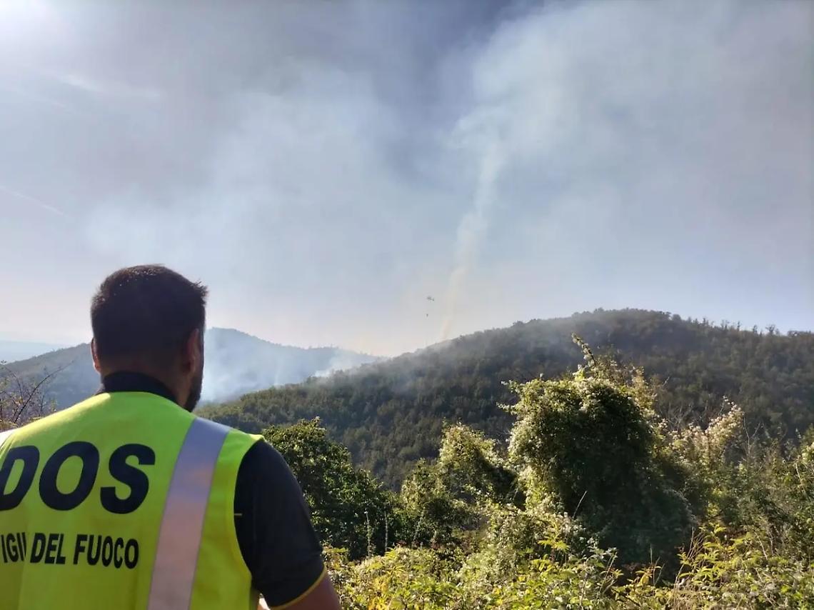 Vasto incendio divora ettari di bosco a Canepina