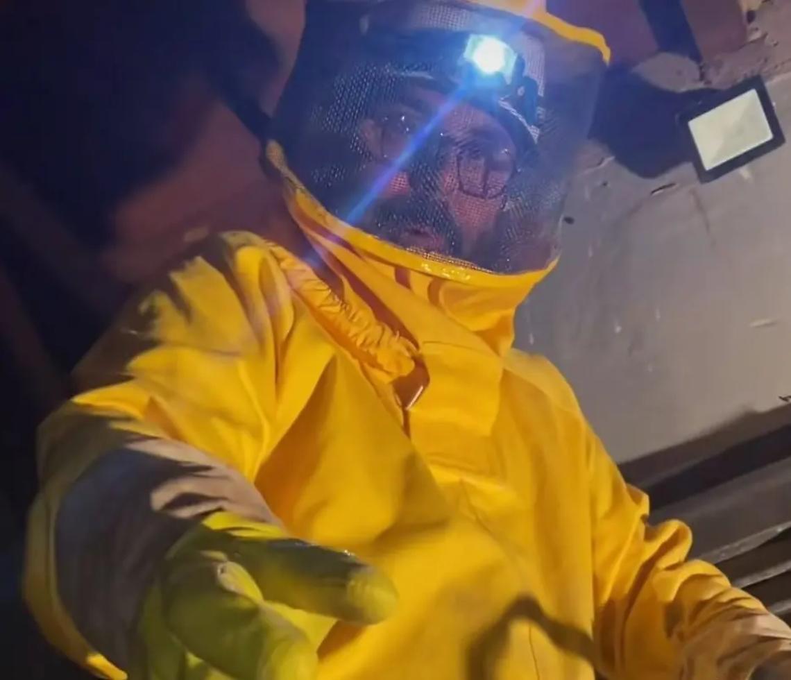 Nepi: etologo trova un alveare con 13 favi e 100mila api