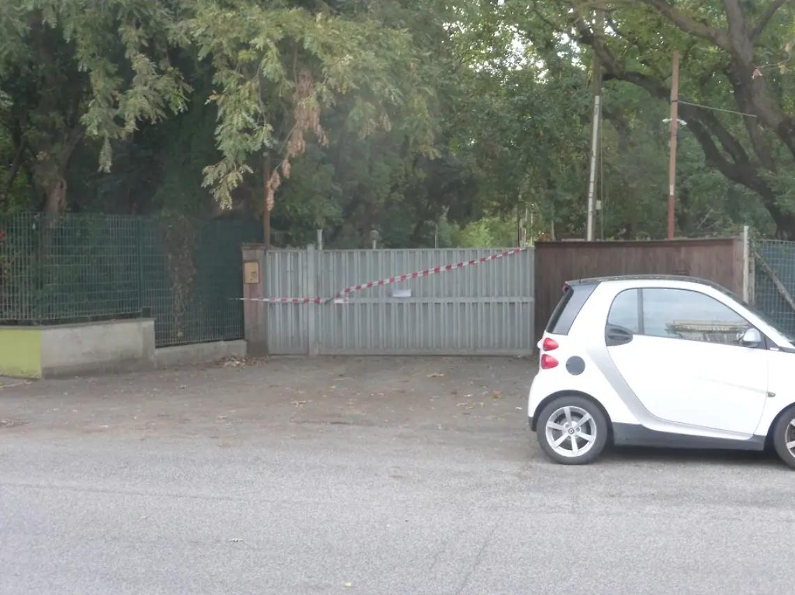 Il bosco &egrave; ancora pi&ugrave; pubblico