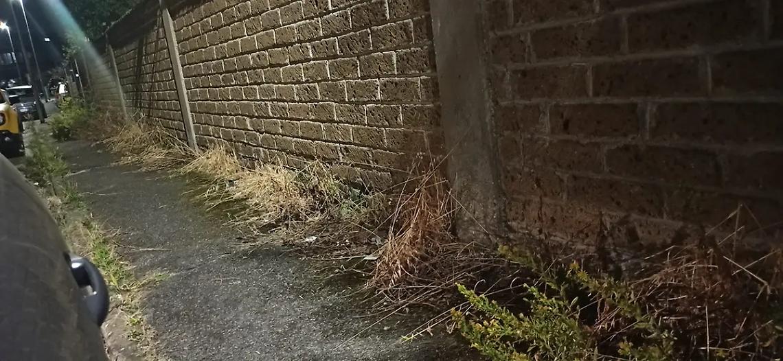 &laquo;I marciapiedi sono ancora sporchi&raquo;. Protestano i residenti del Miami