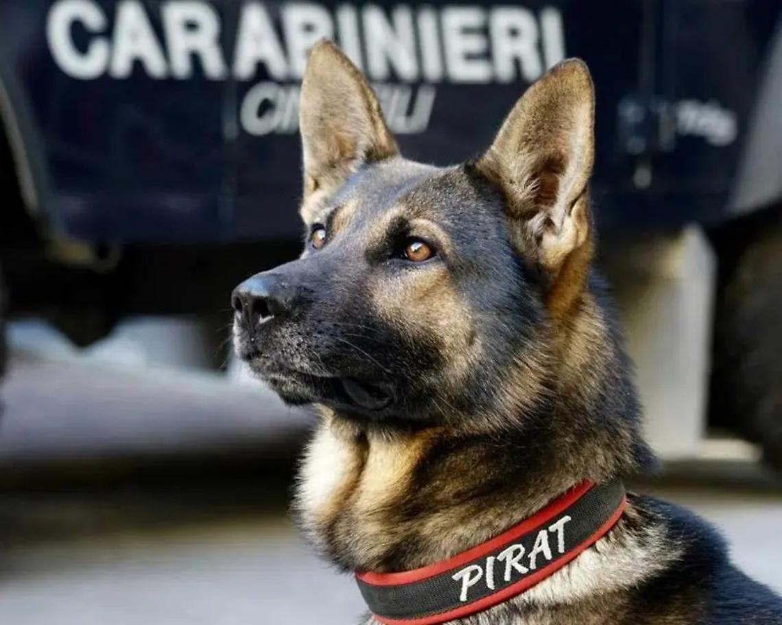 Blitz antidroga dei carabinieri a Oriolo Romano: denunciati due 20enni