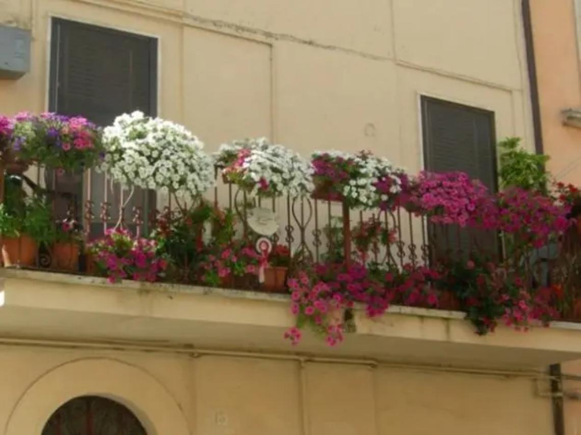 &laquo;Balcone in fiore, il concorso si svolger&agrave; anche il prossimo anno&raquo;