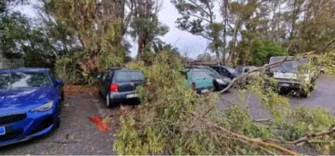 Nubifragio con tromba d&rsquo;aria a Santa Severa: alberi caduti e traffico bloccato