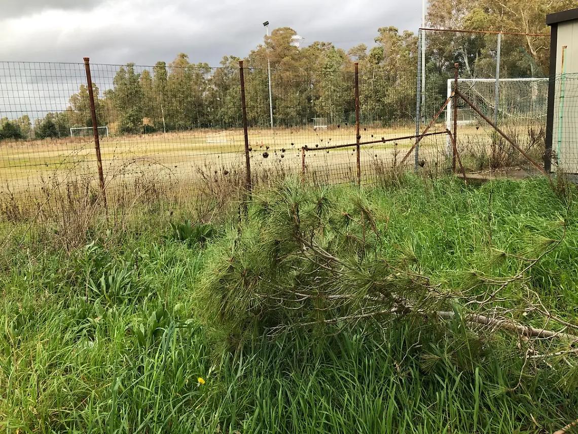 &laquo;Pantano a bando prima della fine del mandato&raquo;