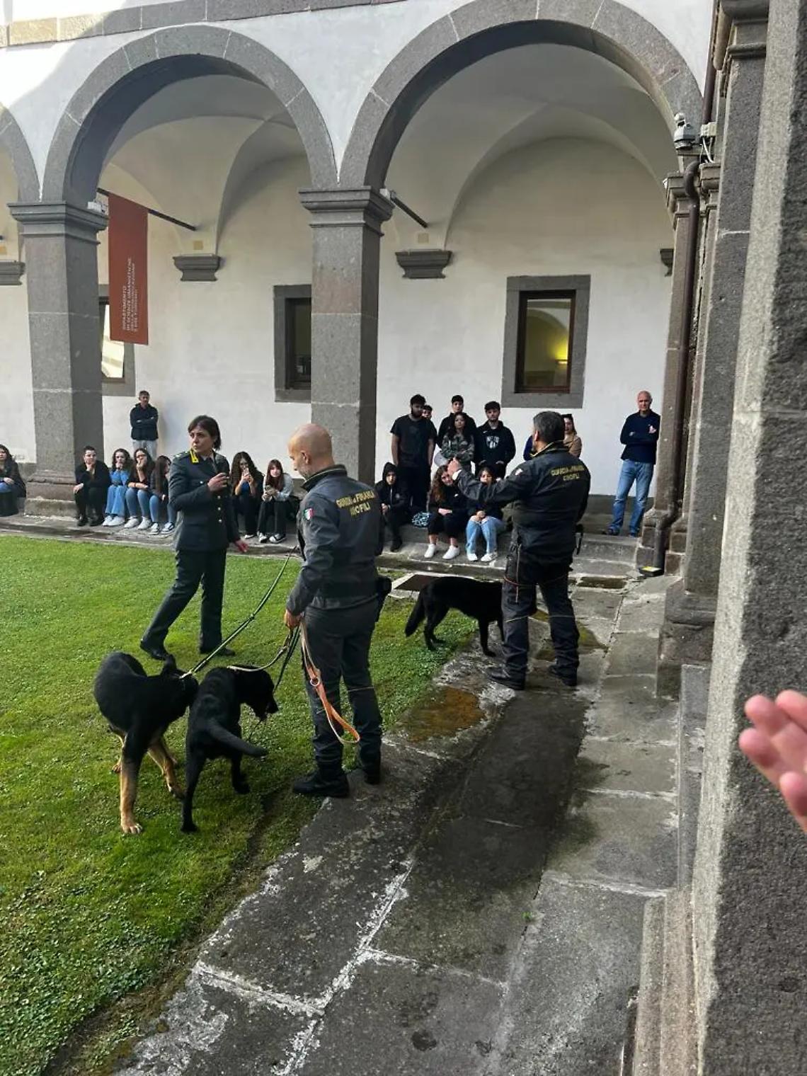 Viterbo: le unit&agrave; cinofile della Guardia di Finanza a lezione all&rsquo;Unitus