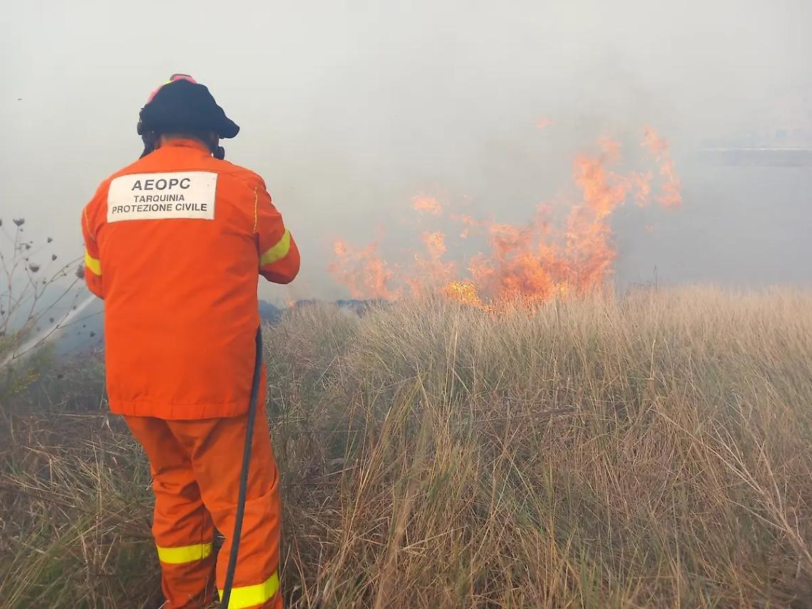Tarquinia, vasto incendio nella riserva naturale delle Saline