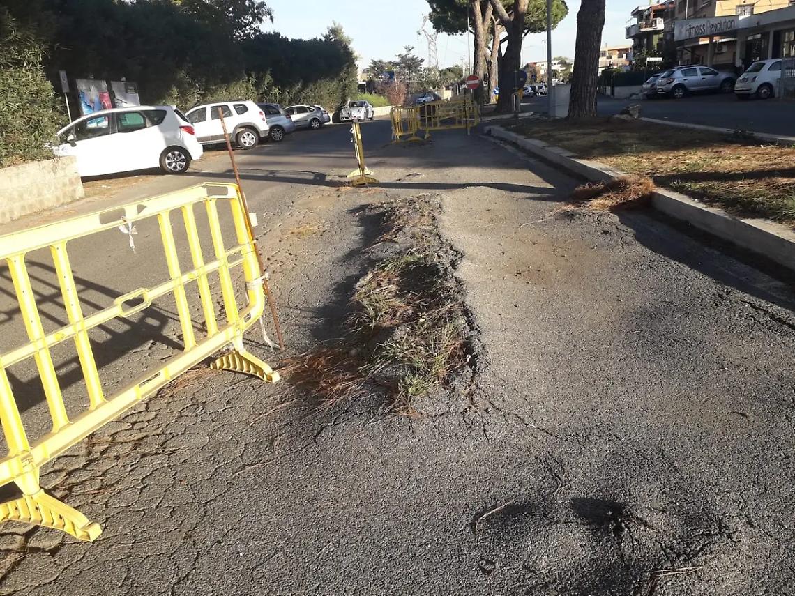 Nuovo cantiere: rimossi i pini da via Chirieletti