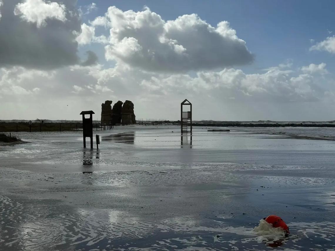 Torre e palude in bal&igrave;a delle onde