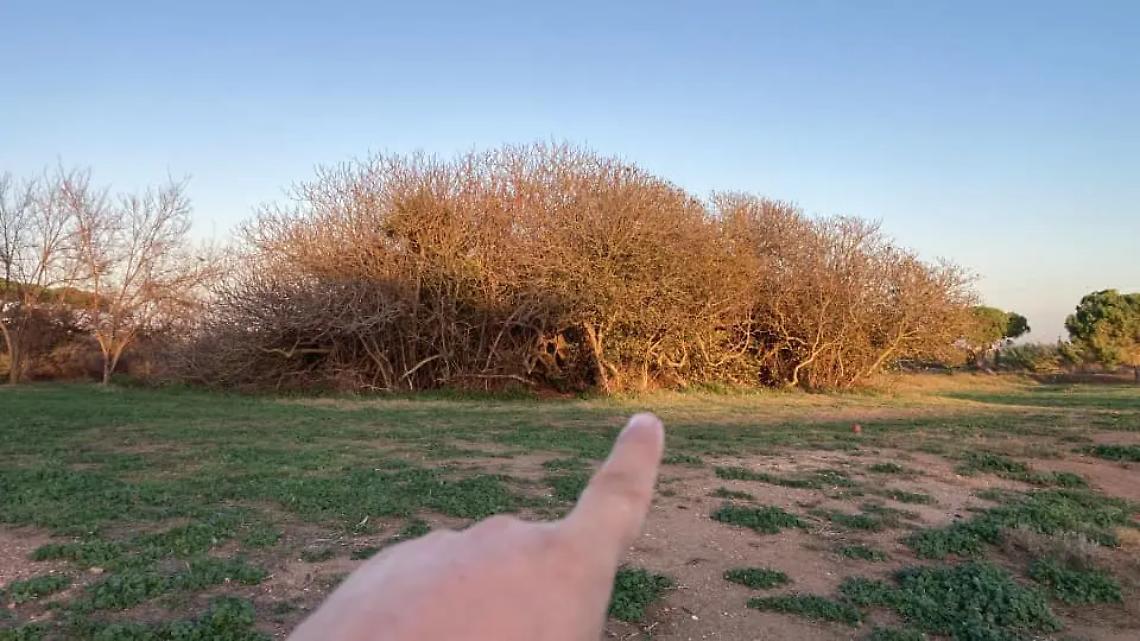 Un bunker tedesco della seconda guerra mondiale al Mandrione delle Saline