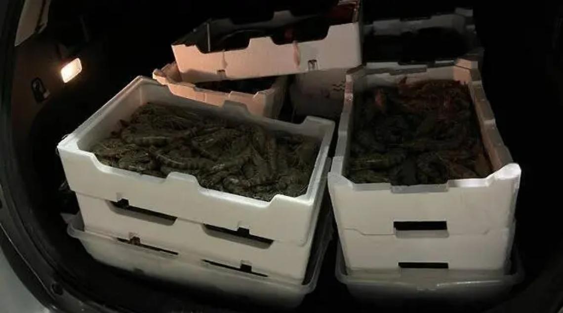 Sequestrati 60 chili di pesce non tracciato