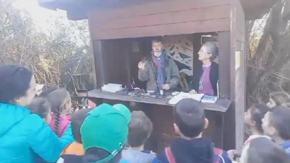 A Torre Flavia oltre 500 uccelli migratori inanellati e liberati