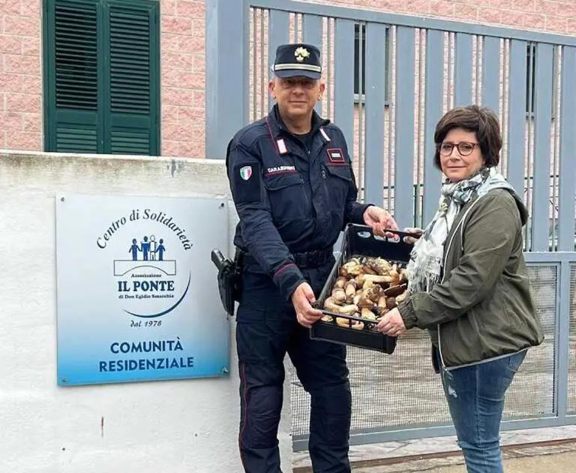 Tolfa, donati agli operatori del programma Coccinella i funghi sequestrati dai carabinieri forestali