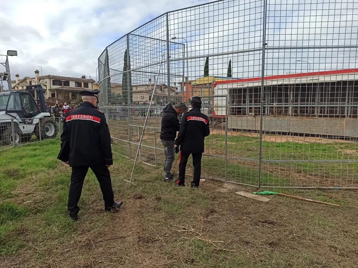 &laquo;Il circo resta, ma senza animali&raquo;. Accolta la proposta del sindaco