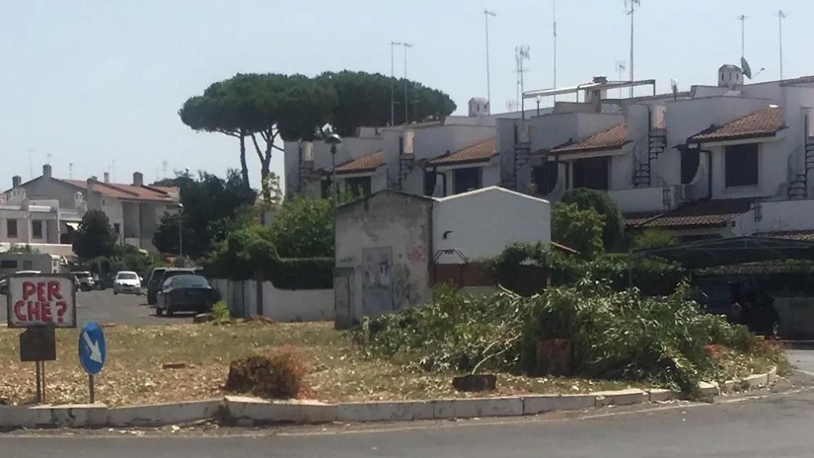 &laquo;Manutenzione degli alberi e riqualificazione delle strade&raquo;