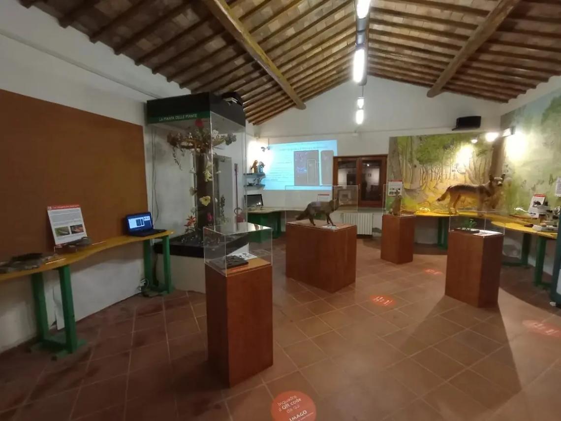 Museo del fiore, ecco la nuova sala