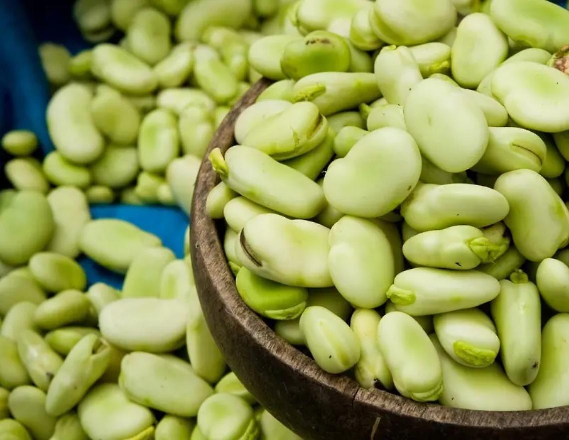 Favismo, pubblicata l&rsquo;ordinanza