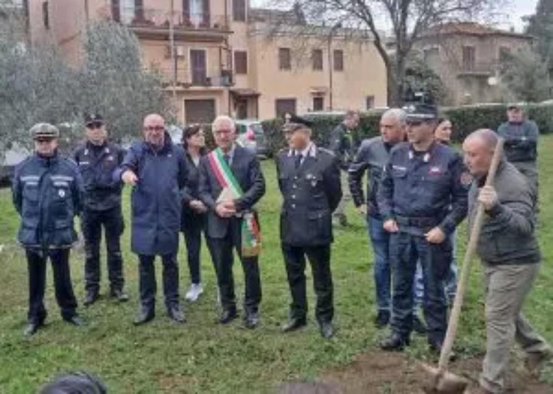 &laquo;Forestazione urbana fondamentale contro cambiamenti climatici&raquo;