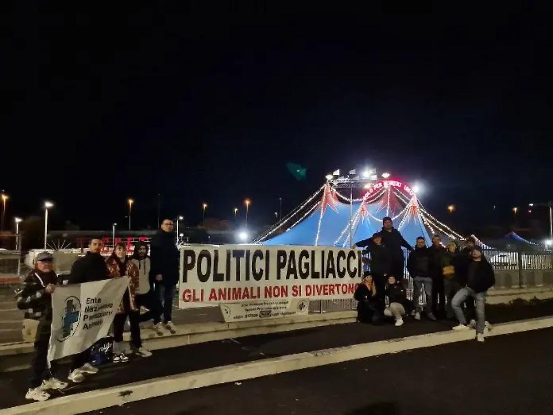 &laquo;La politica faccia di pi&ugrave; per la tutela degli animali&raquo;