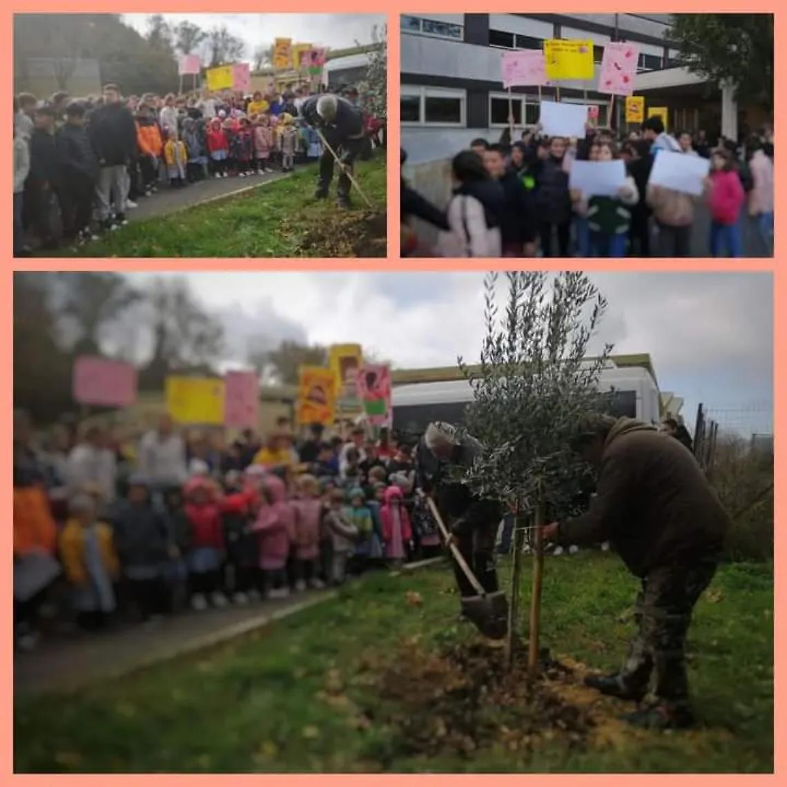 Allumiere dice &ldquo;no&rdquo; alla violenza sulle donne