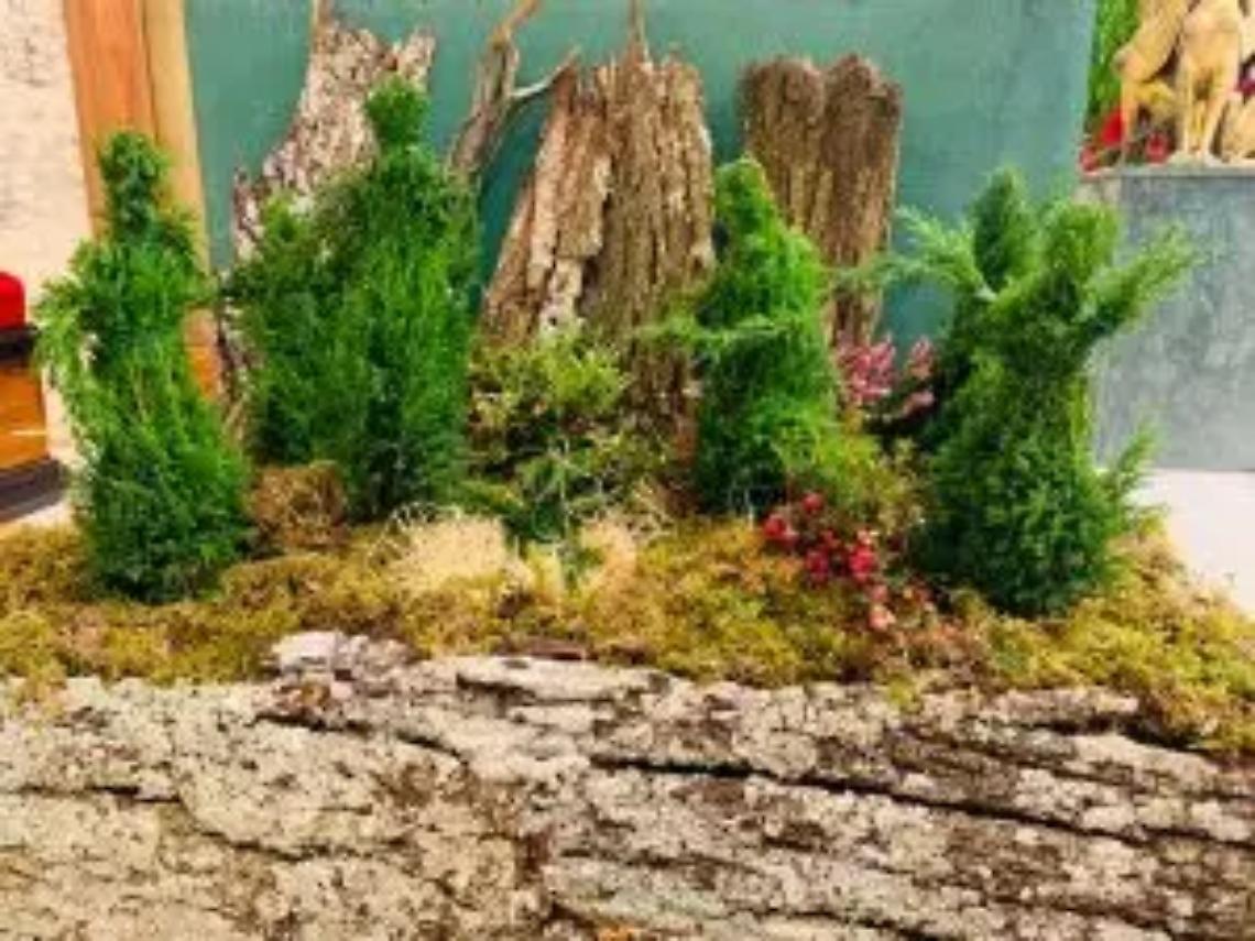 Presepe, la scuola Santa Maria del Paradiso sul podio