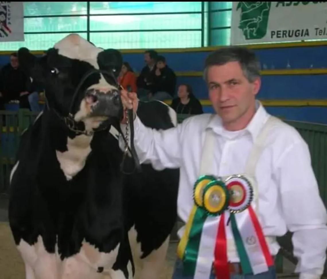 Crisi del latte, le aziende iniziano a chiudere