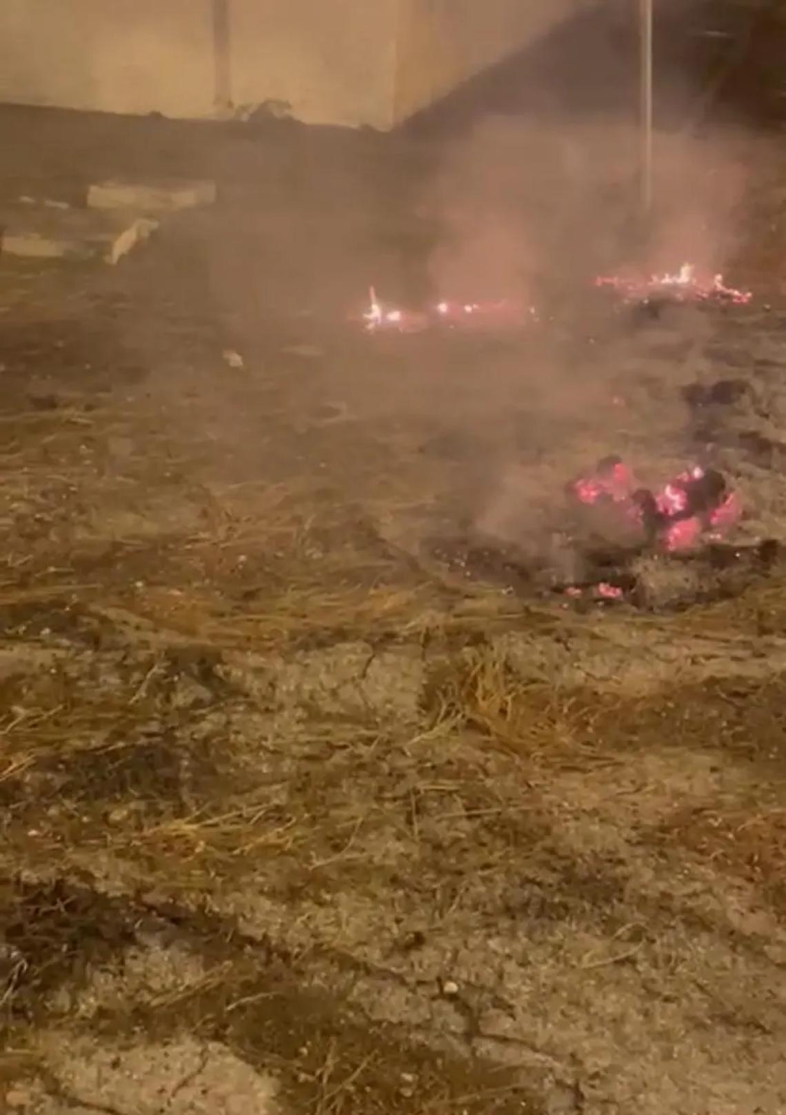 Fuoco nei pressi di una colonia felina: orrore al Lido di Tarquinia IL VIDEO