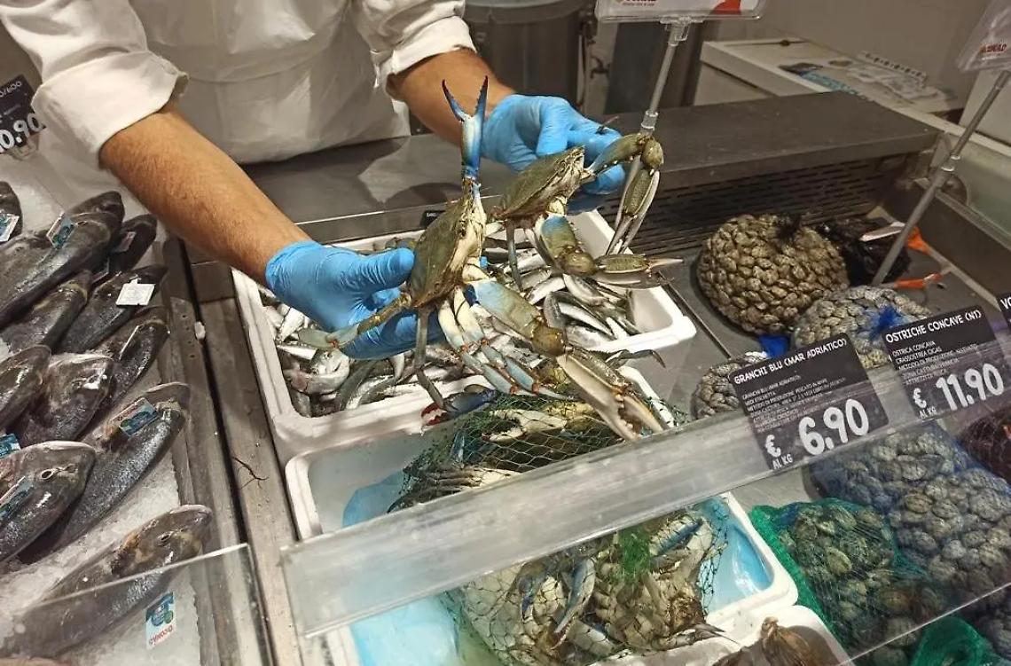 Rincari sulle vongole, colpa dei granchi blu