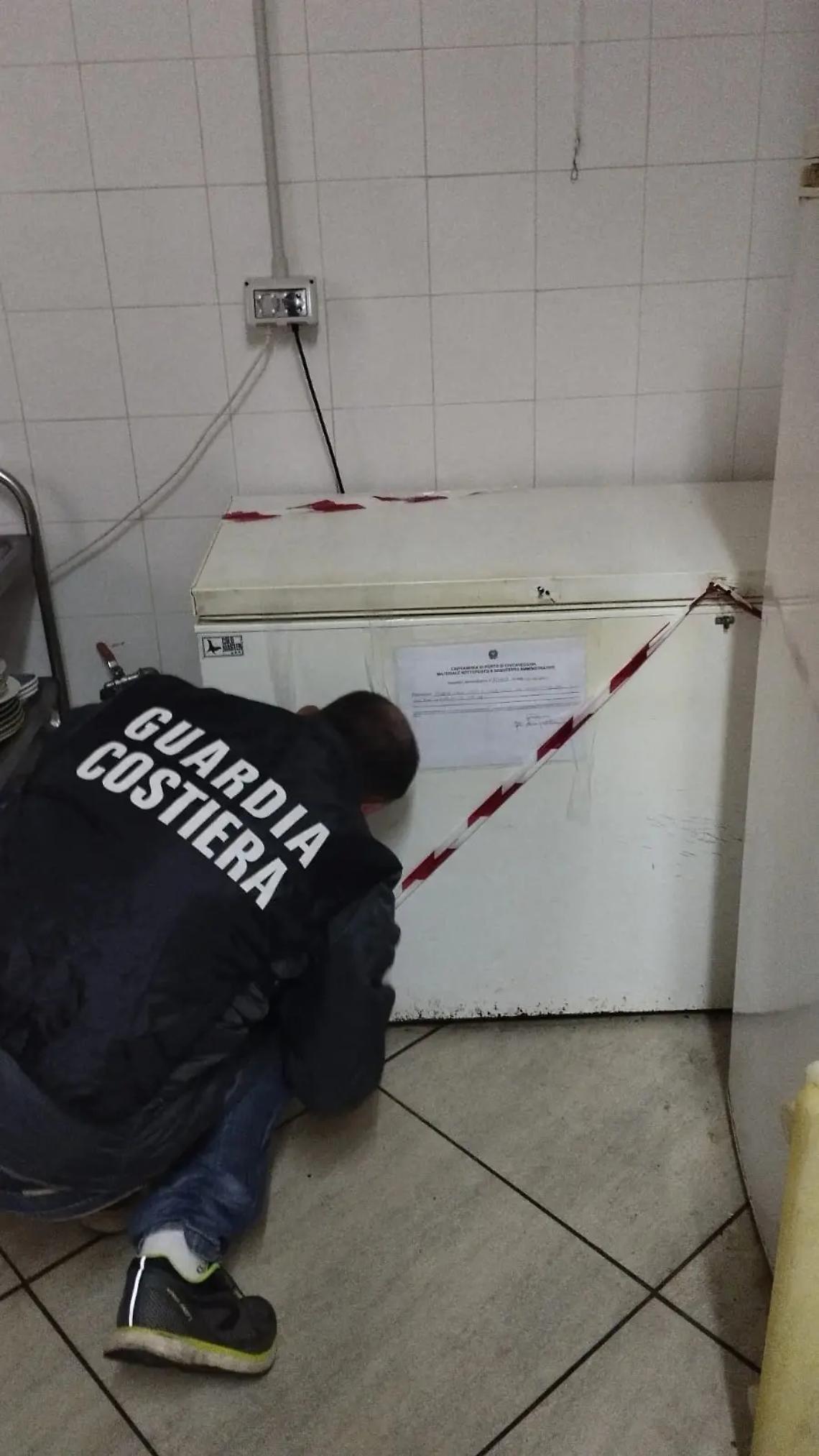 Spinnaker, la Capitaneria a tutela della filiera ittica