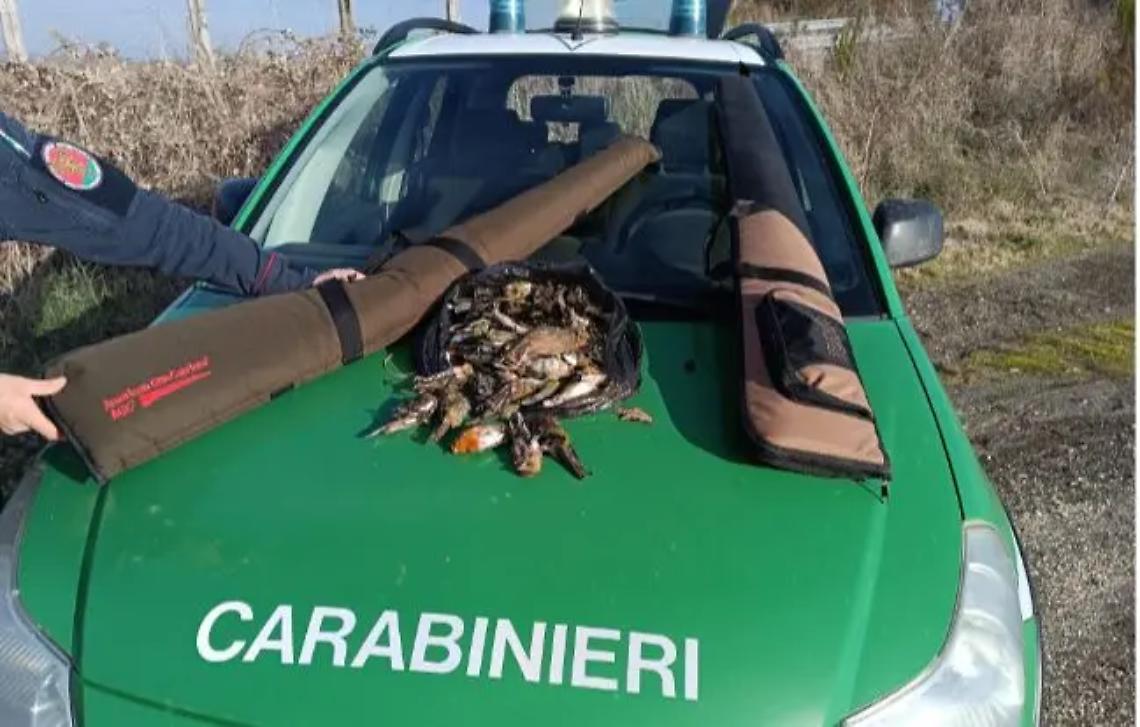 Viterbo: sparano a uccelli protetti, denunciati due cacciatori