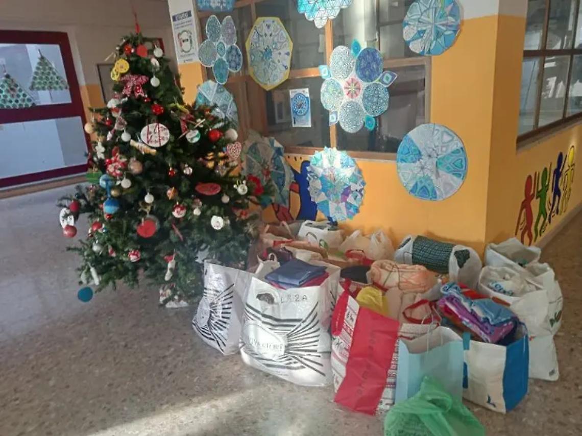 Cibo, cucce e calde coperte per gli animali del canile e le colonie feline