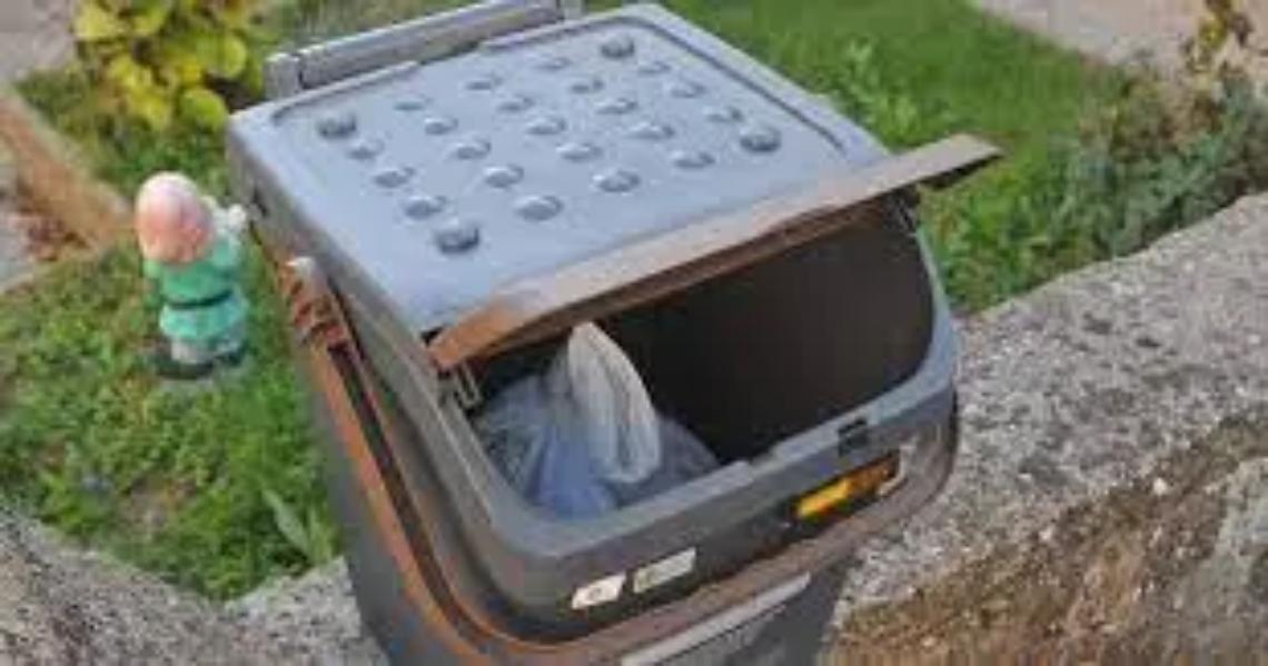 Ritiro rifiuti il 1&deg; gennaio, tutte le info