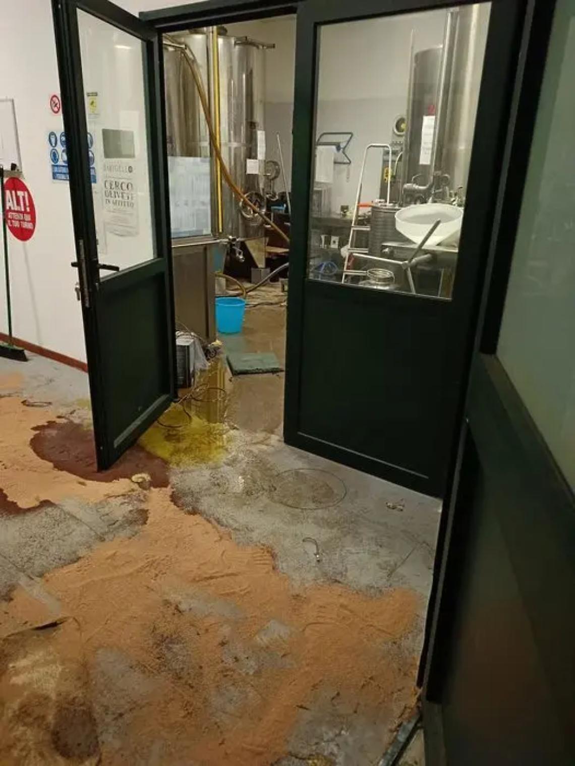 Viterbo: Furto nel frantoio Barigello Presciuttini