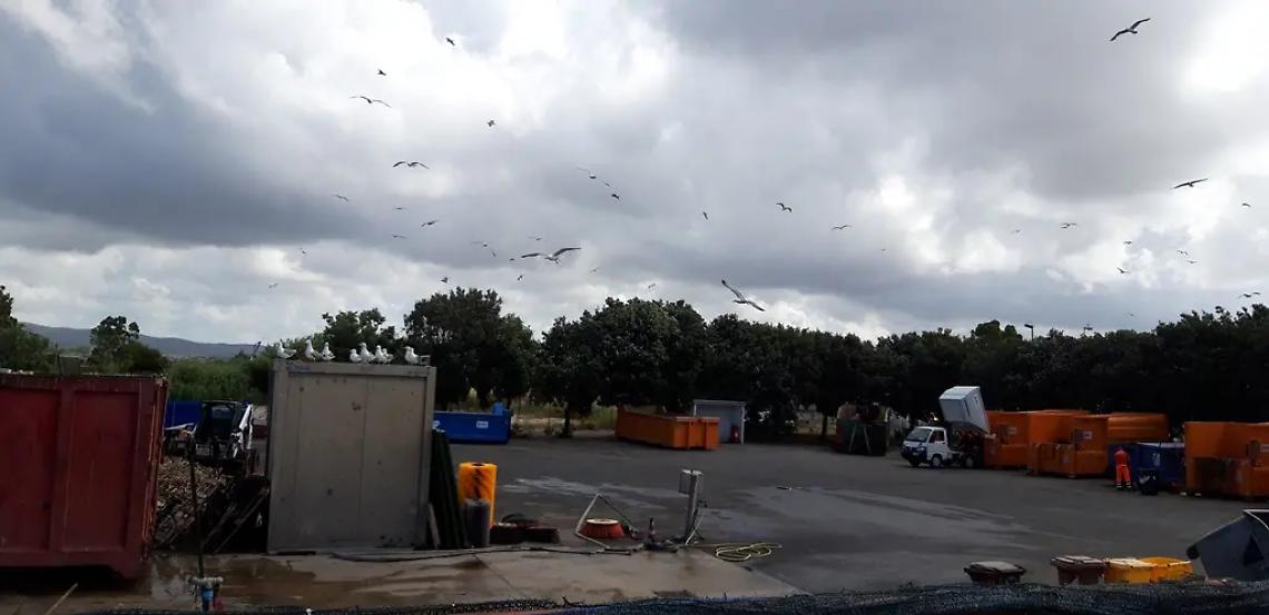 Rifiuti si cambia, ritiri a domicilio solo per i &ldquo;grandi&rdquo; ingombranti