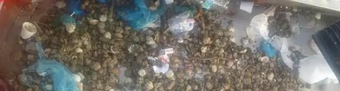 Plastica e immondizia di ogni tipo: ecco come i pescatori &ldquo;puliscono&rdquo; il mare