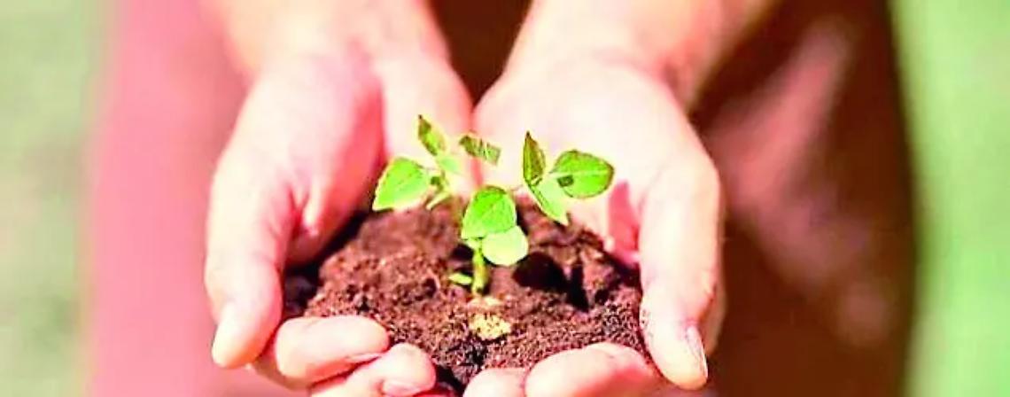 Tari, sconto del 20% per il compostaggio: il 31 gennaio scade la richiesta di rinnovo