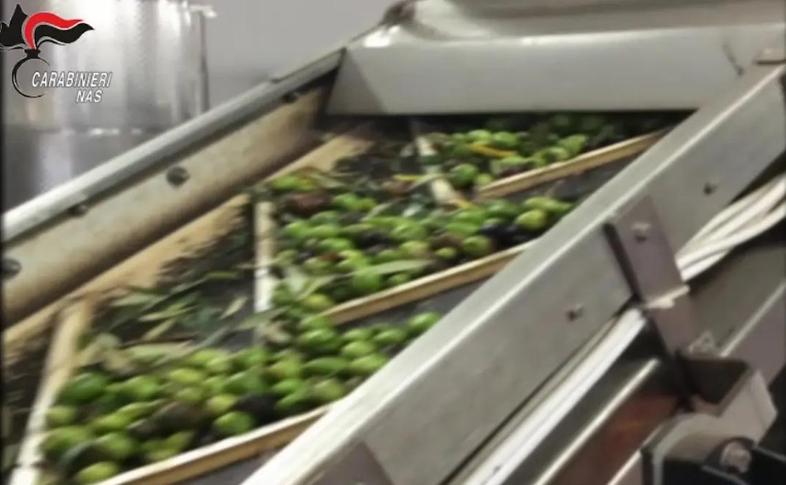 Sequestrati migliaia di chili di olio e olive in due frantoi della Tuscia