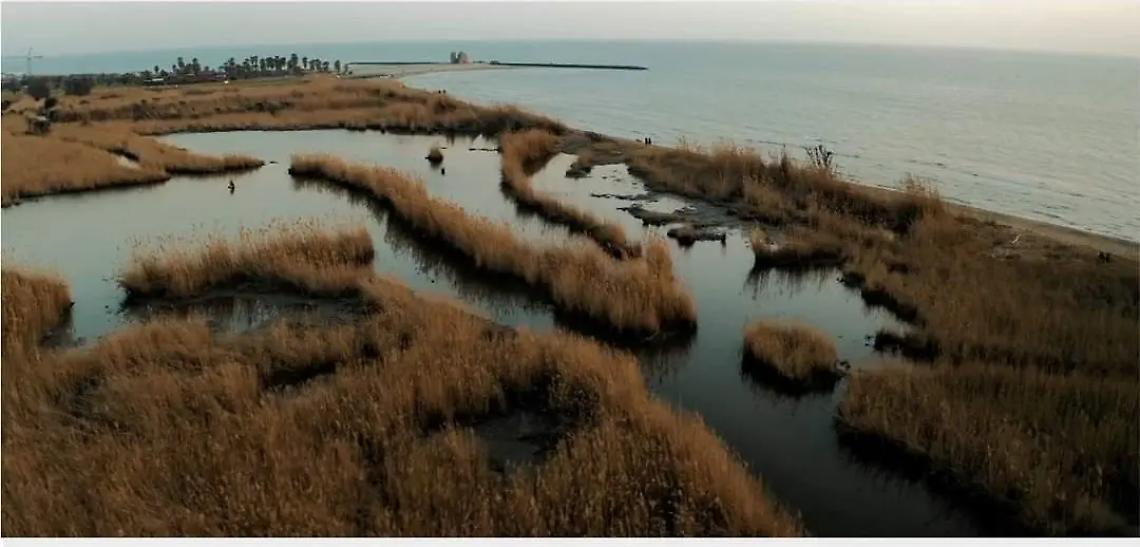 Distributore gpl vicino alla palude, il progetto in Regione va avanti