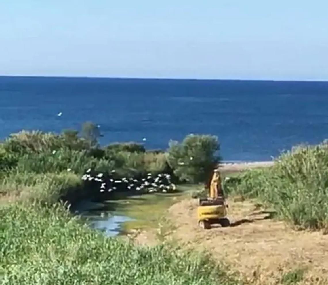 Zona fosso di Castelsecco: diventer&agrave; una grande area verde