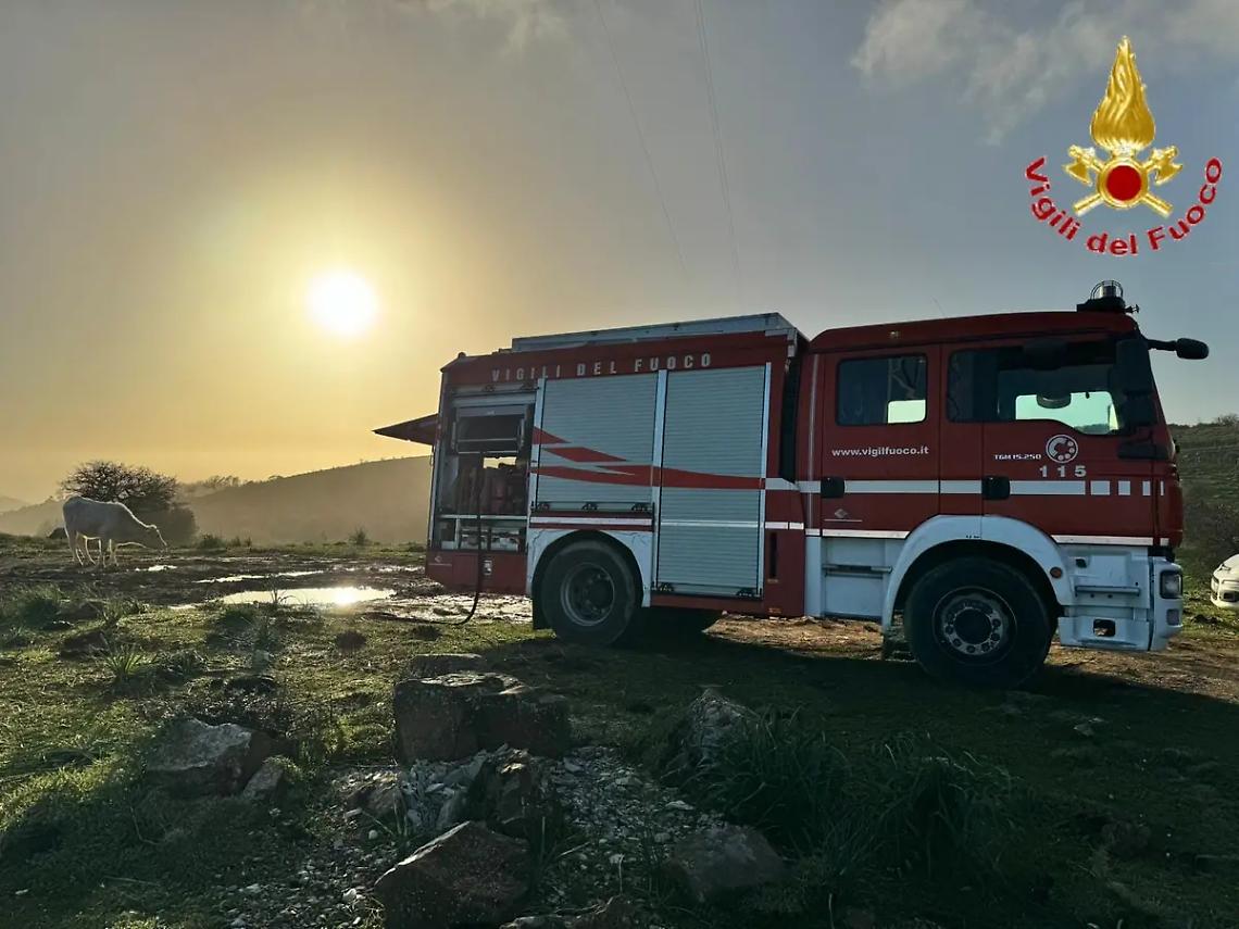 Vitello cade in un pozzo: salvato dai Vigili del fuoco