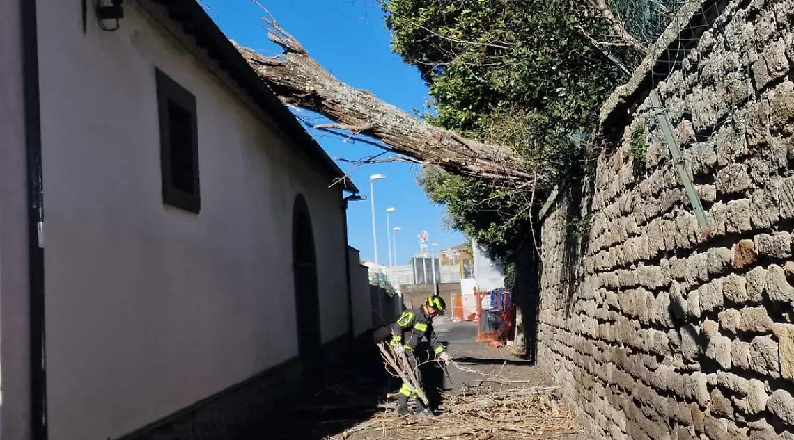Viterbo: albero cade per il forte vento sul tetto di un&rsquo;autofficina