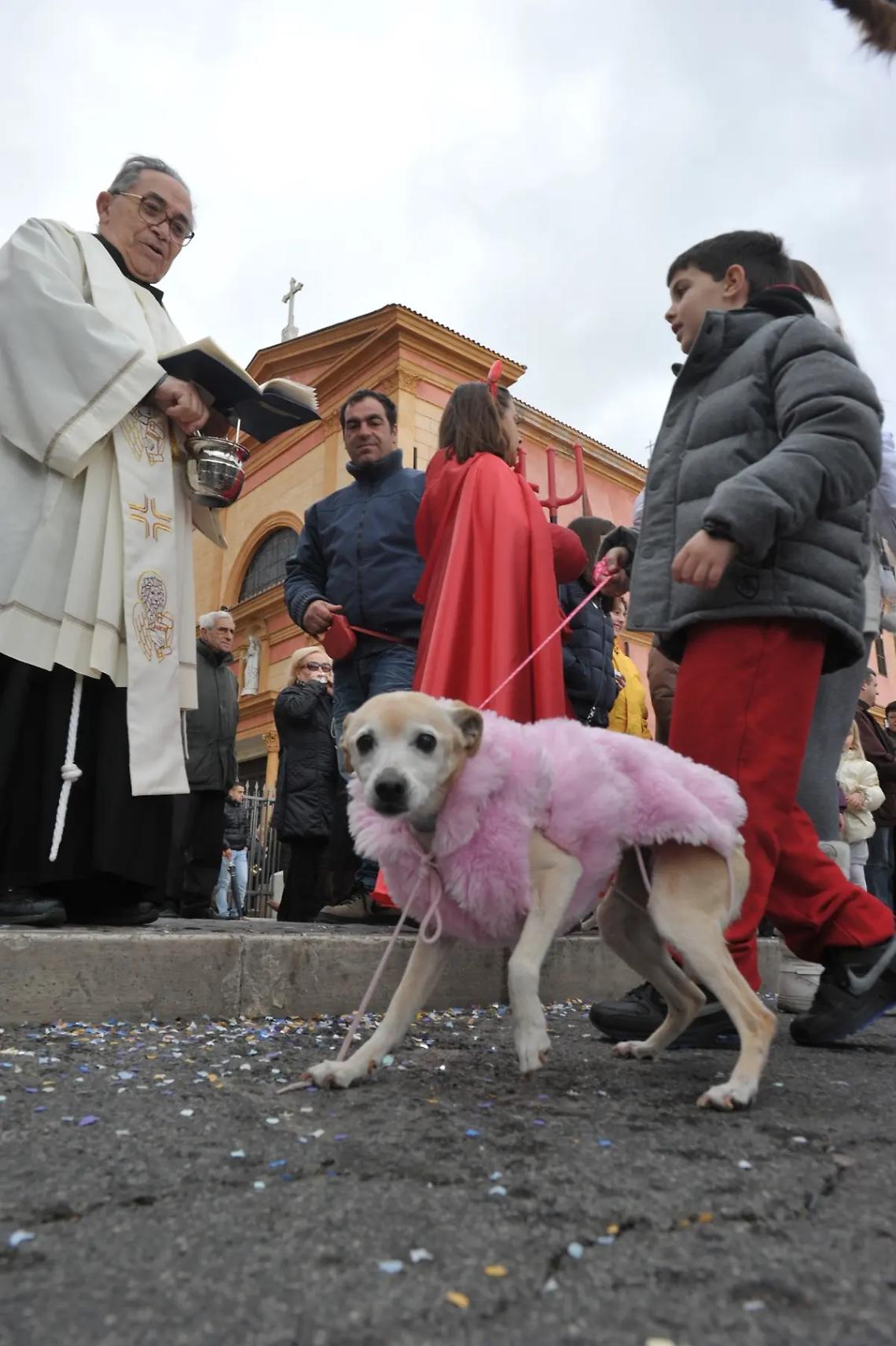Torneo dei cavalieri e benedizione degli animali al Ghetto