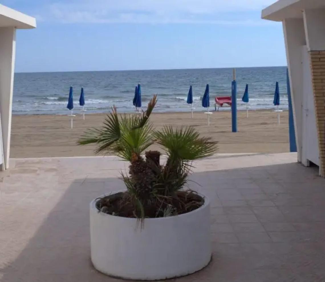 Stabilimento balneare, il gestore non paga il canone: il Comune di Tarquinia risarcito dalla compagnia di assicurazione