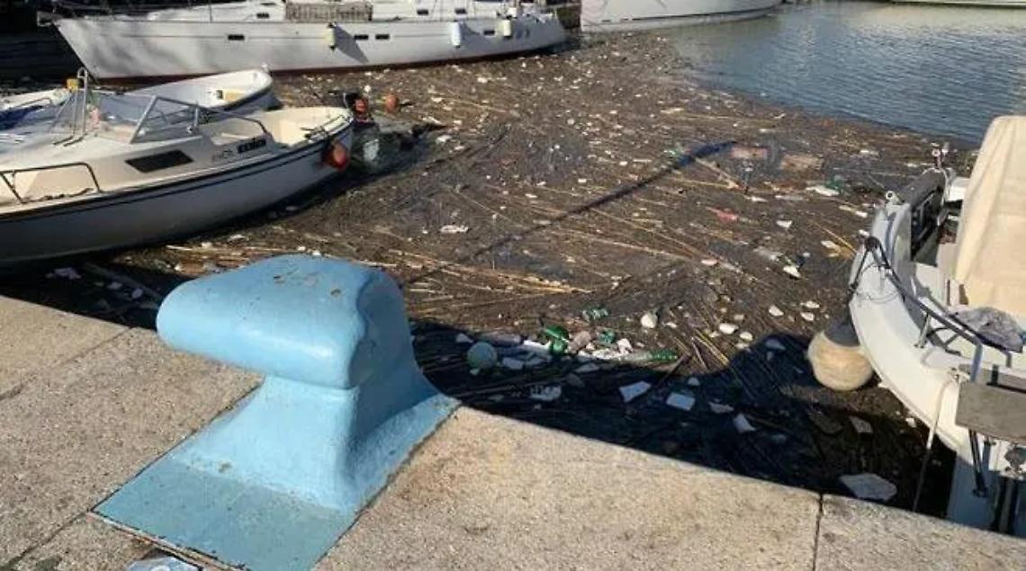 I rifiuti invadono (di nuovo) la Darsena, Baccini: &laquo;Servono soluzioni definitive&raquo;