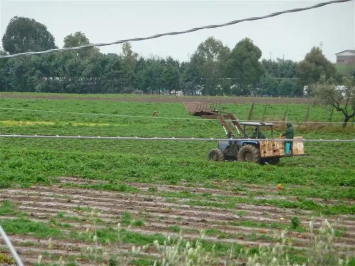 Agricoltori nella morsa delle politiche UE