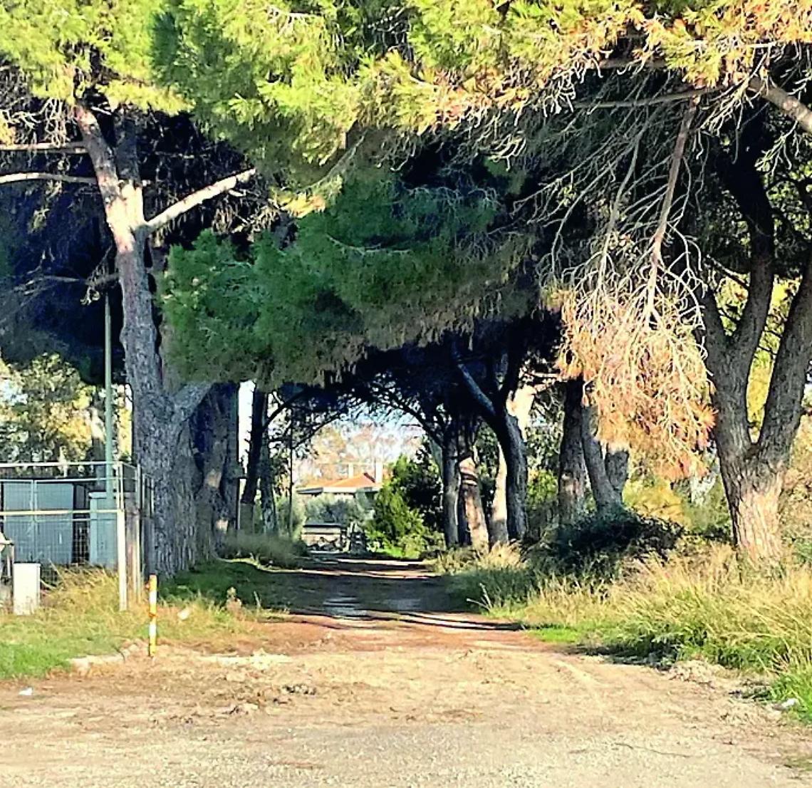 Erbacce ed incuria, Pantano nel degrado